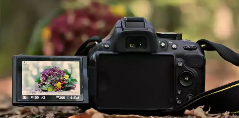 5 Digital Camera with Flip Screen You Must Have